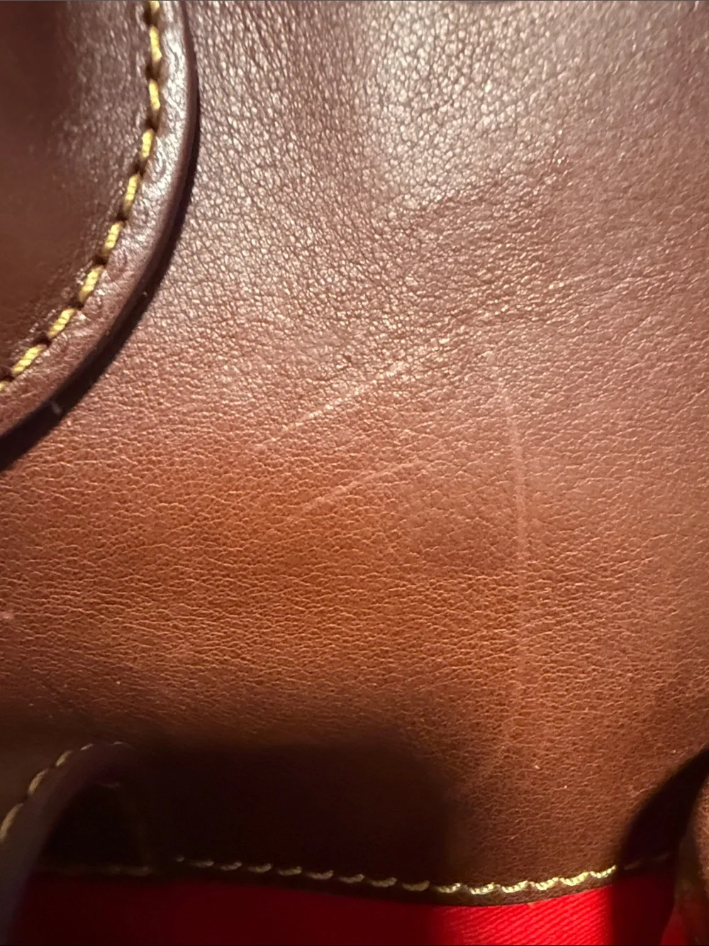 Dooney & Bourke Brown Leather Satchel with Red Zip Pouch